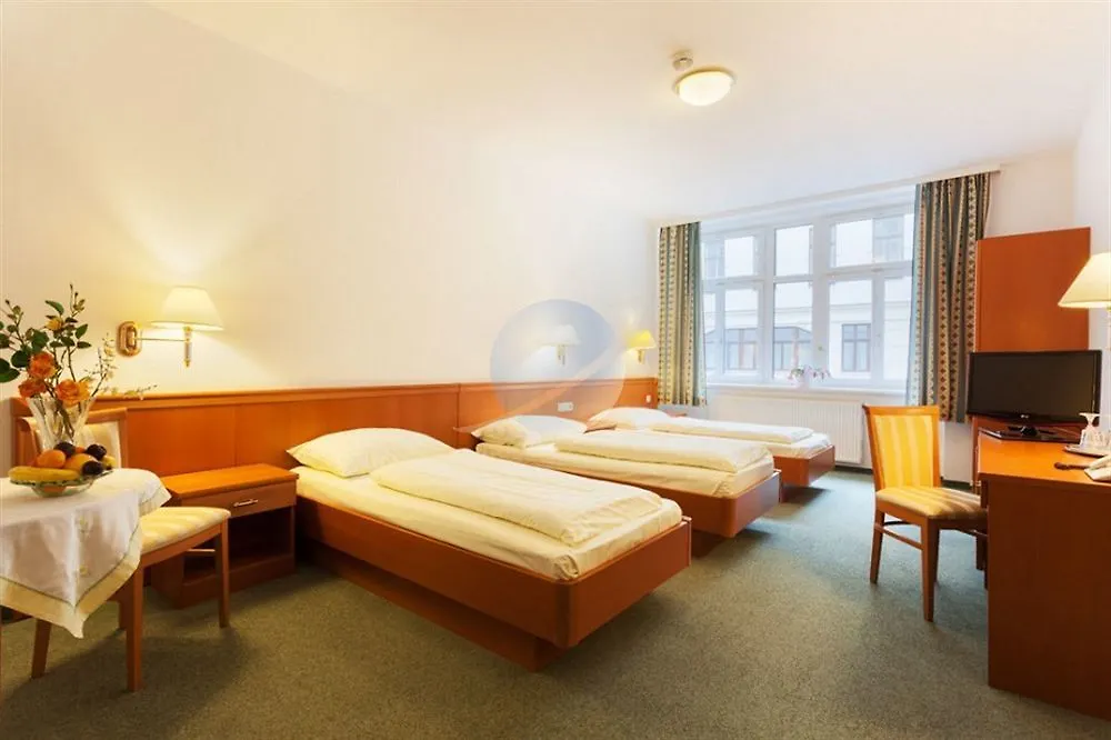 Hotel Schani Salon Vienna 4*,  Austria