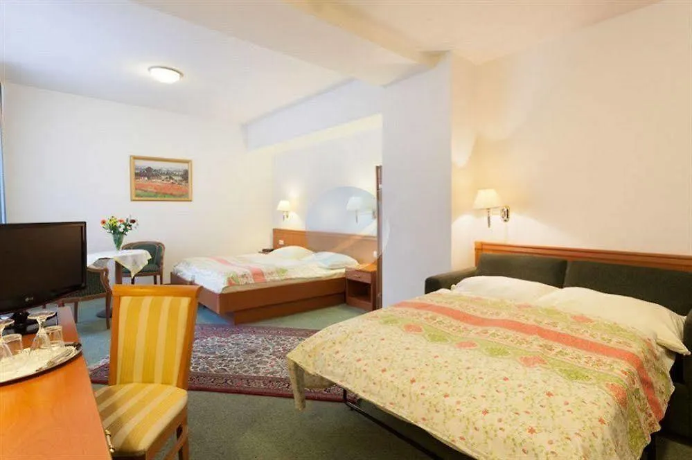 Hotel Schani Salon Vienna 4*,  Austria